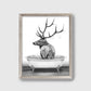 B&W Woodland Animal Bathtub Set of 3 Prints, Rustic Moose Decor, Elk Wall Art, Bear Humor