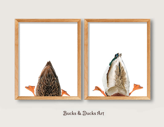 Duck Hunting Nursery Set of 2 Prints, Mallard Wildlife Wall Art Decor
