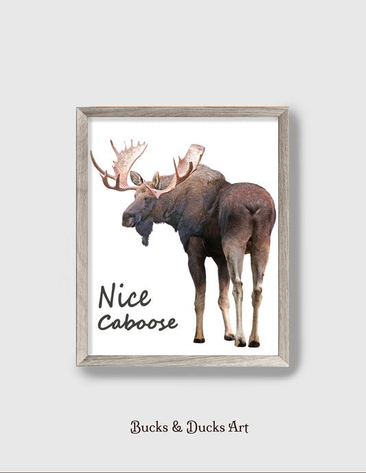 Moose Print, Nice Caboose Quote Wall Art Humor, Funny Woodland Animal Decor